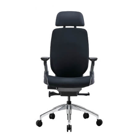 เก้าอี้เพื่อสุขภาพ DF PROCHAIR รุ่น Challenge สีดำ_1